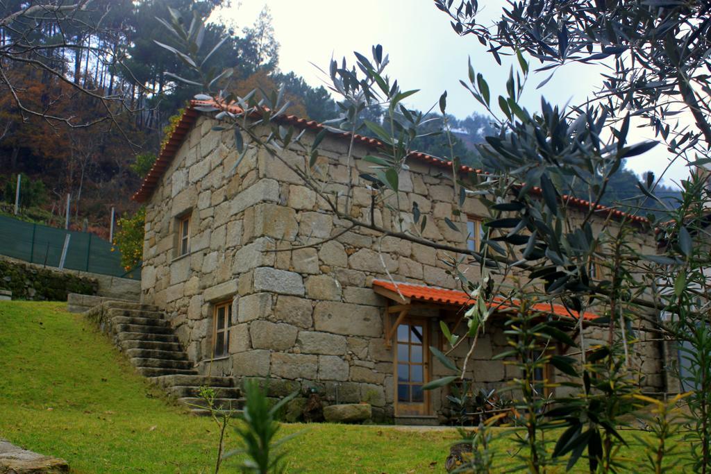 Douro Senses - Nature House Cinfães Værelse billede