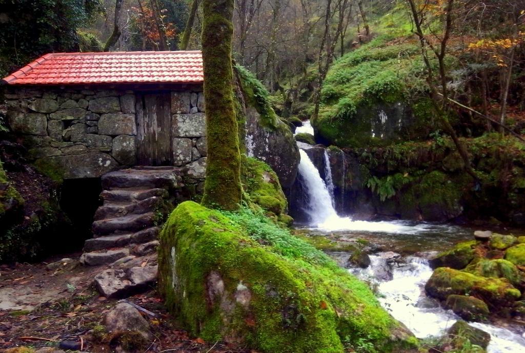 Douro Senses - Nature House Cinfães Eksteriør billede