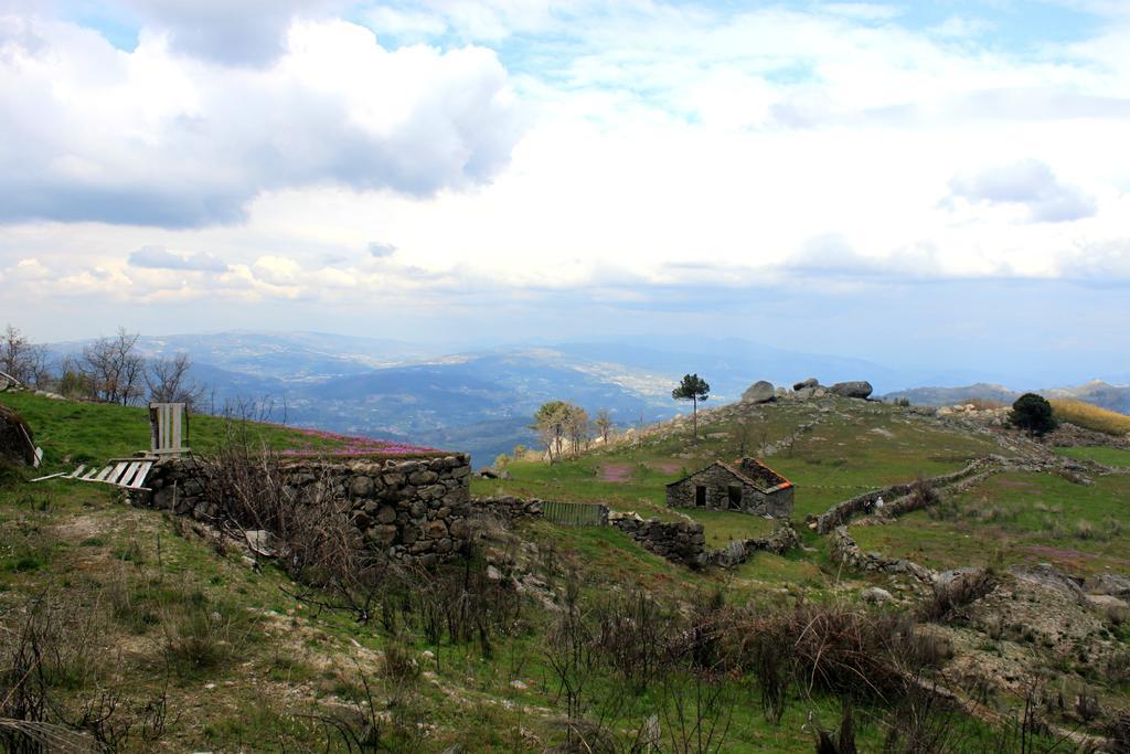 Douro Senses - Nature House Cinfães Værelse billede