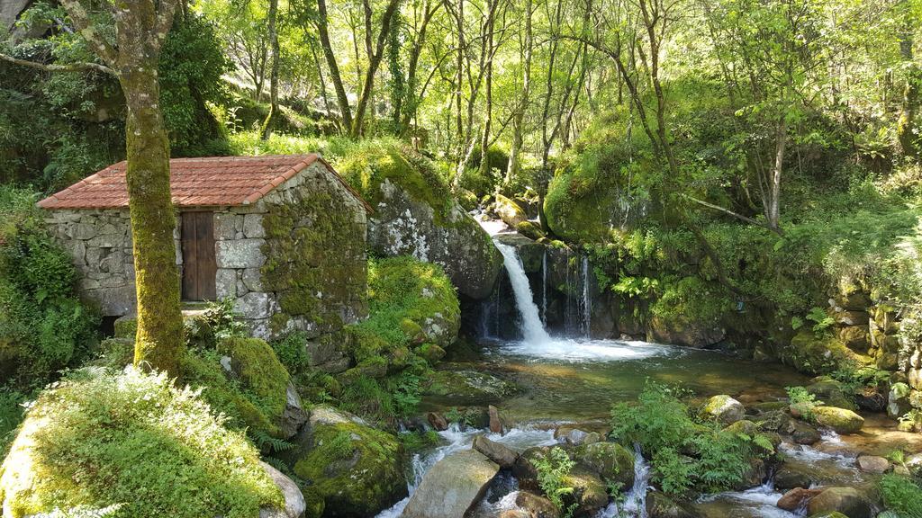 Douro Senses - Nature House Cinfães Eksteriør billede